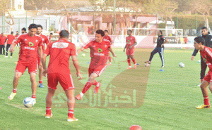 تدريب الاهلى