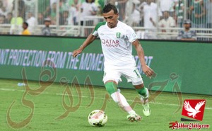 محمد عبدالشافي
